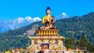 blog & article