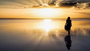 blog & article