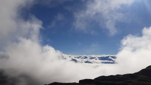 blog & article
