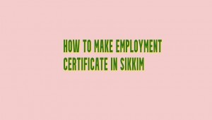 blog & article